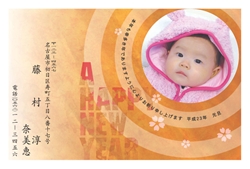 A HAPPY NEW YEAR サクラの花びらの年賀状