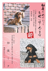 初春をめでたくお祝い申しあげます　ピンクに波模様の背景の年賀状