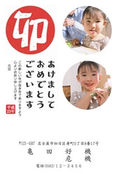 あけましておめでとうございます　「卯」の字の太鼓判の年賀状