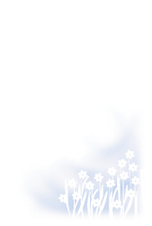 水仙の喪中状台紙