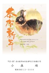 恭賀新年うさぎの写真の年賀状