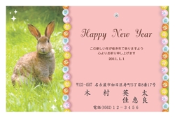 野うさぎの写真の年賀状